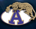 ACHS AP Academy